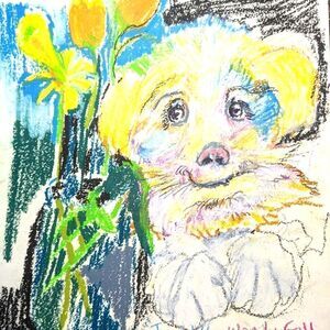 Wendy Gell Àrt Drawing "Jewel", my Maltese dog in Crayons with Flowers.